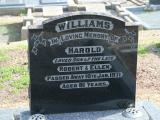 image number 166 Harold Williams